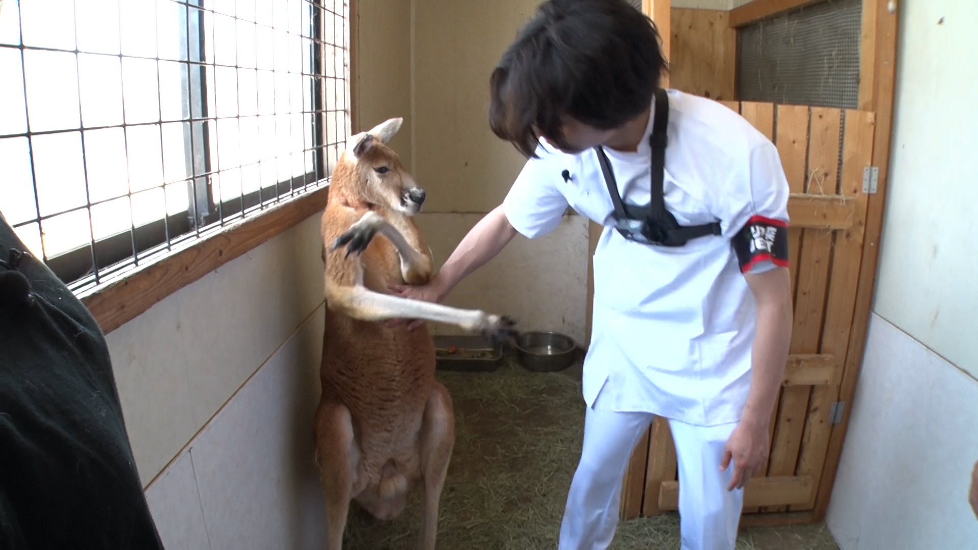 ジャニーズWEST重岡大毅 〇〇〇〇に優しくハグされる | ABCマガジン