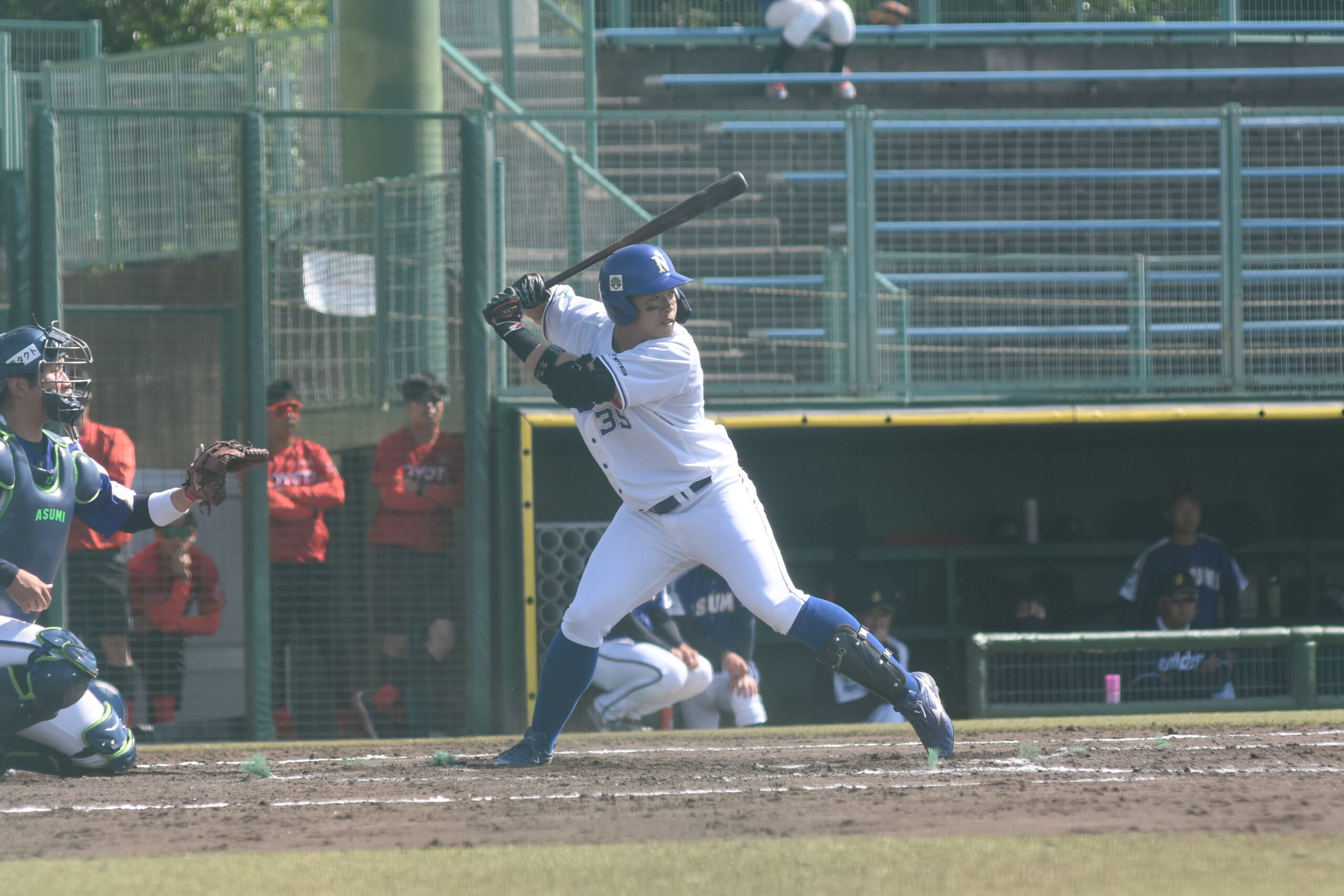 阪神タイガース伊藤隼太選手バッティンググローブ実使用