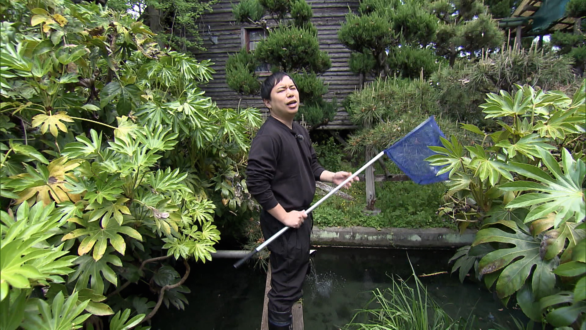 無理！」探偵ギブアップ！？ 生け簀の魚を救え『探偵！ナイトスクープ